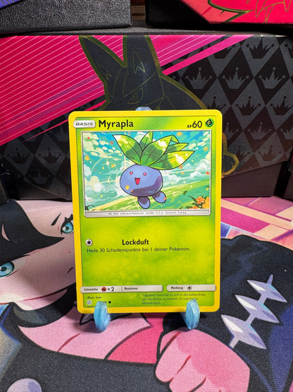 2/236 Myrapla