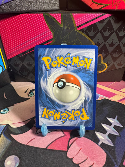 117/202 Galar-Zigzachs