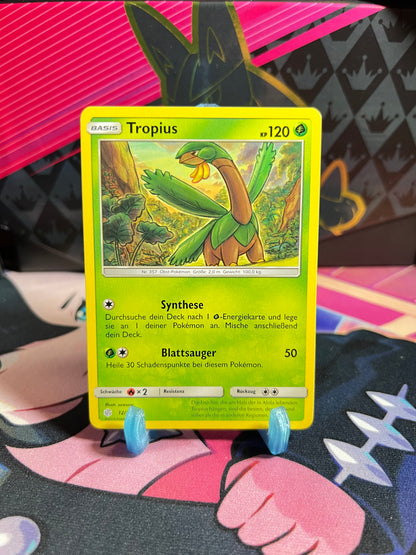 12/236 Tropius