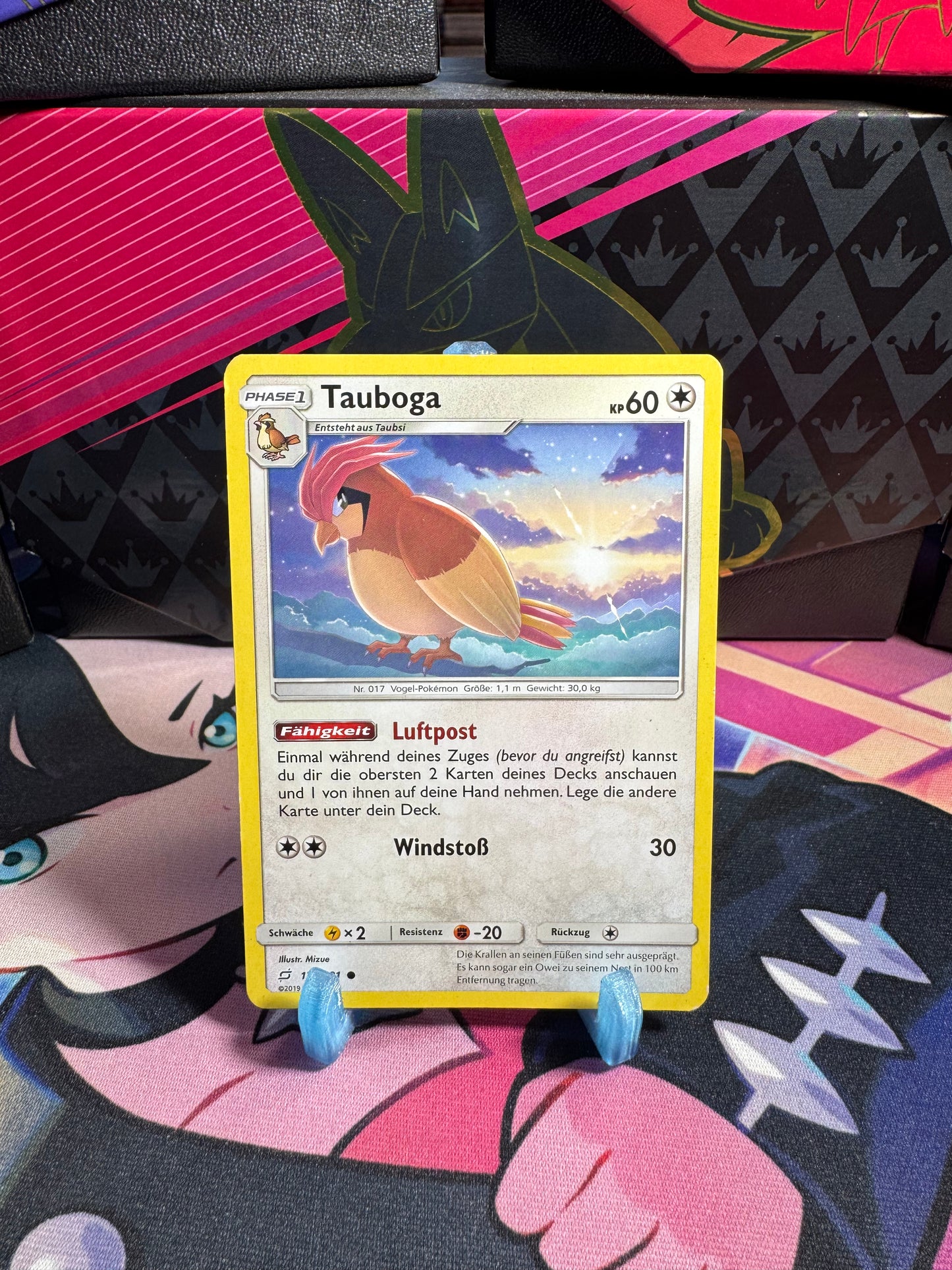 123/181 Tauboga