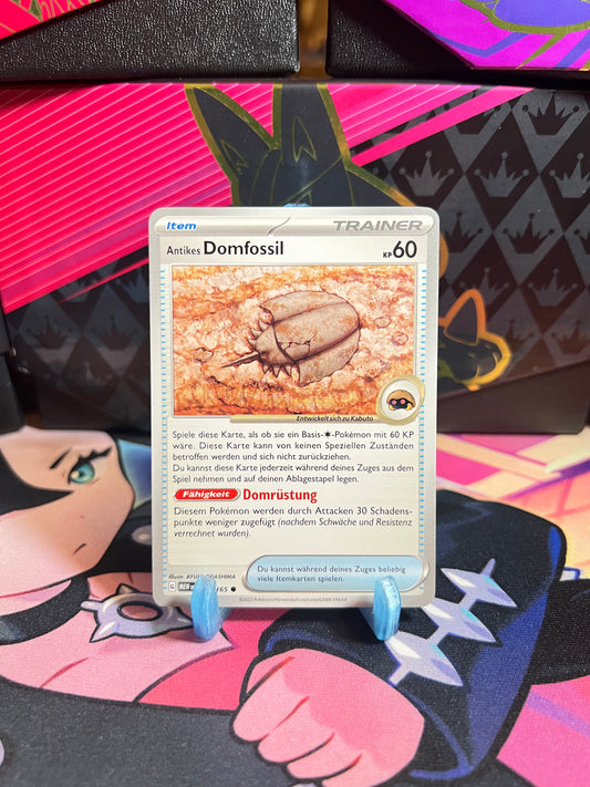 152/165 Antikes Domfossil