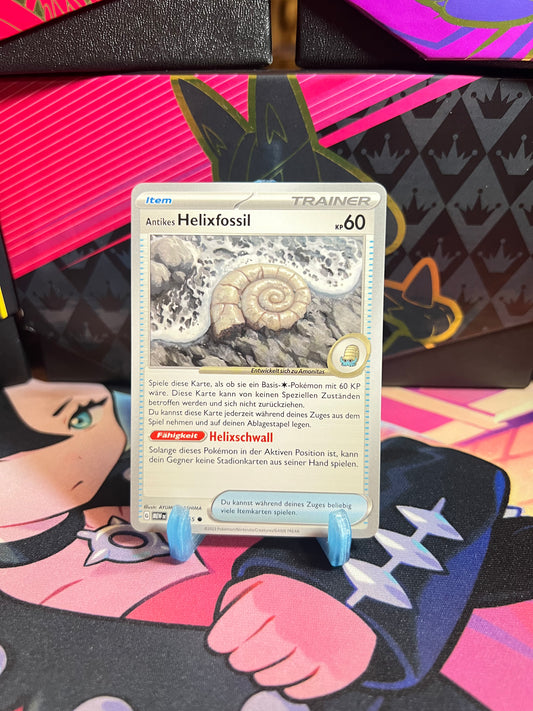 153/165 Antikes Helixfossil