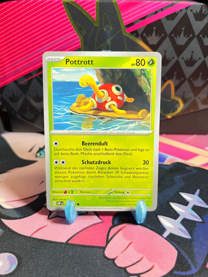 005/197 Pottrott
