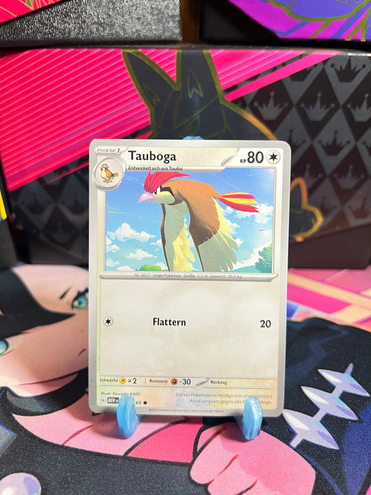 017/165 Tauboga