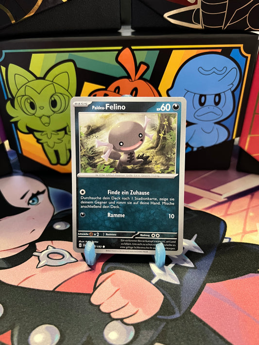 128/193 Paldea-Felino
