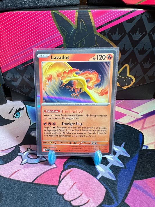 146/165 Lavados Holo